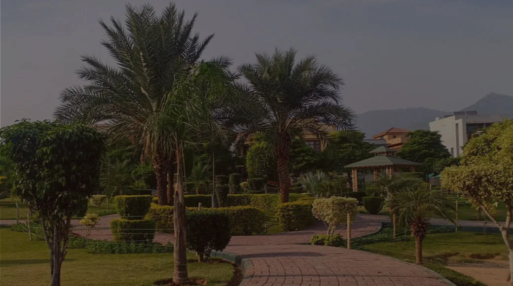 Sector E-11 Islamabad