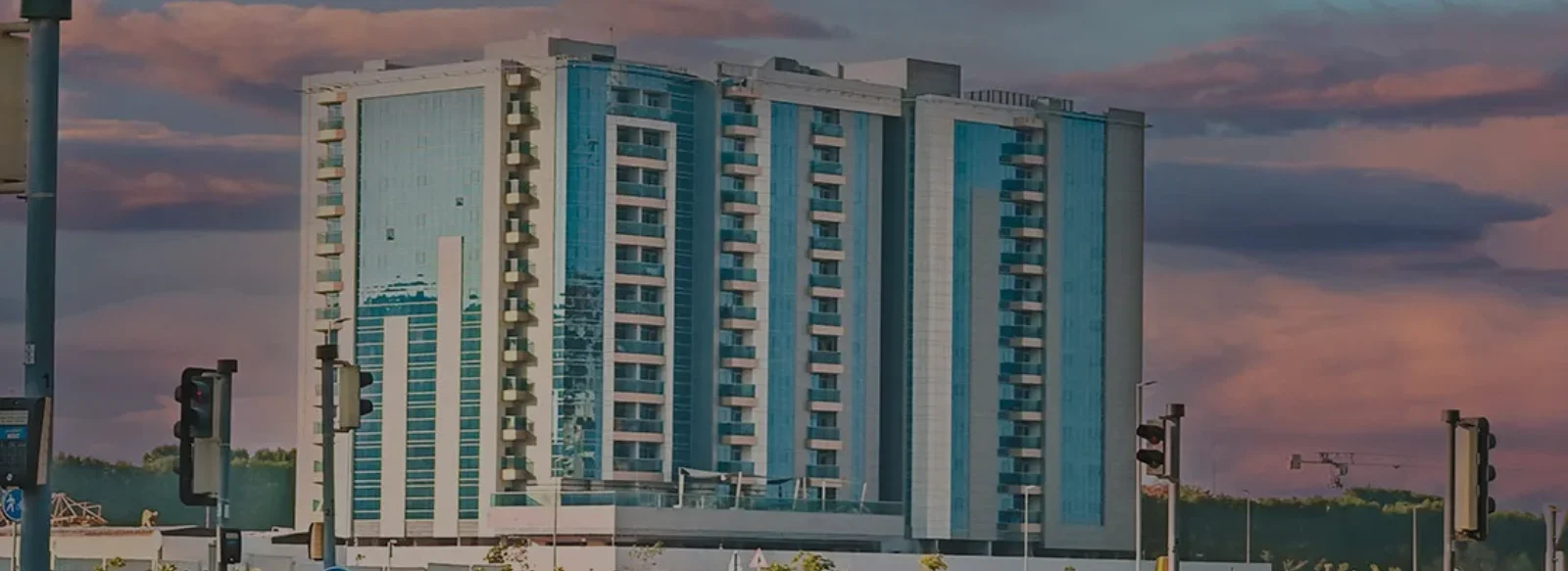 Paradise View II at Majan by Dugasta Banner