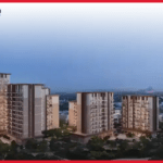 Dana at Expo Valley Views Feature image